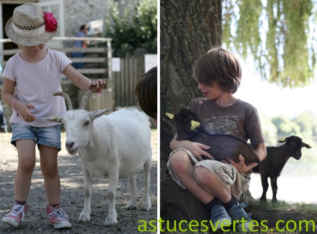 idée sortie nature : la ferme pédagogique de Gally