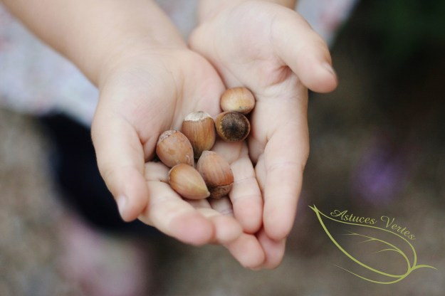Sortie nature : le glanage en forêt