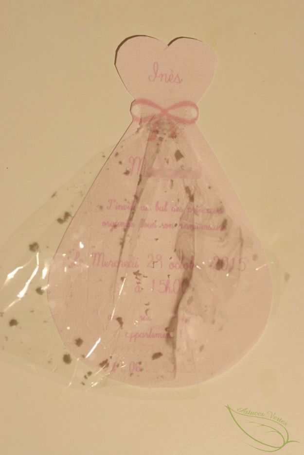 carte invitation anniversaire de princesse écolo récup'