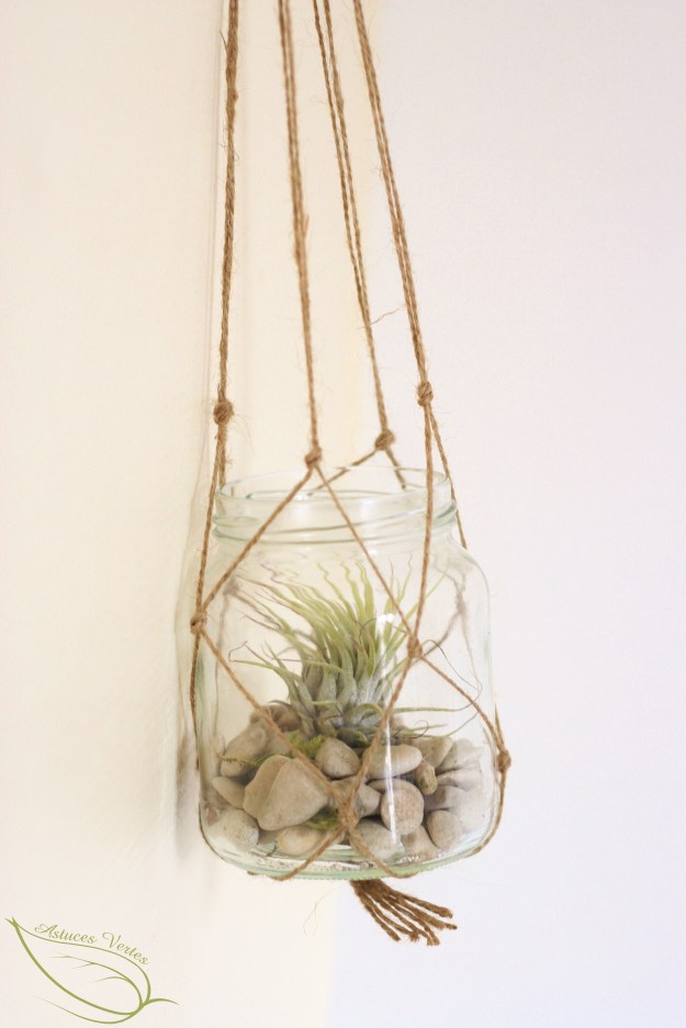tillandsia terrarium diy