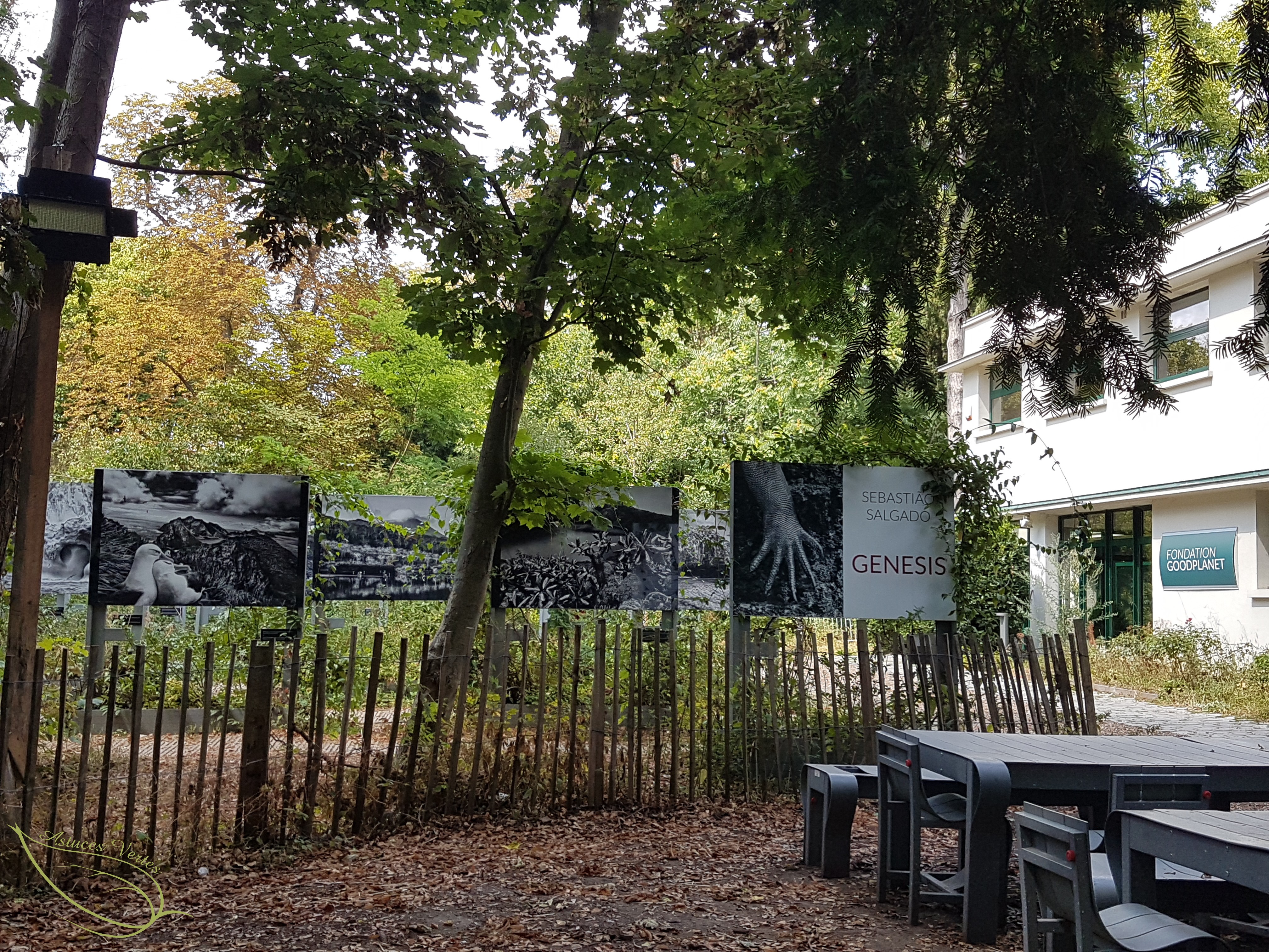 La Fondation Good Planet : une sortie familiale qui allie nature et culture