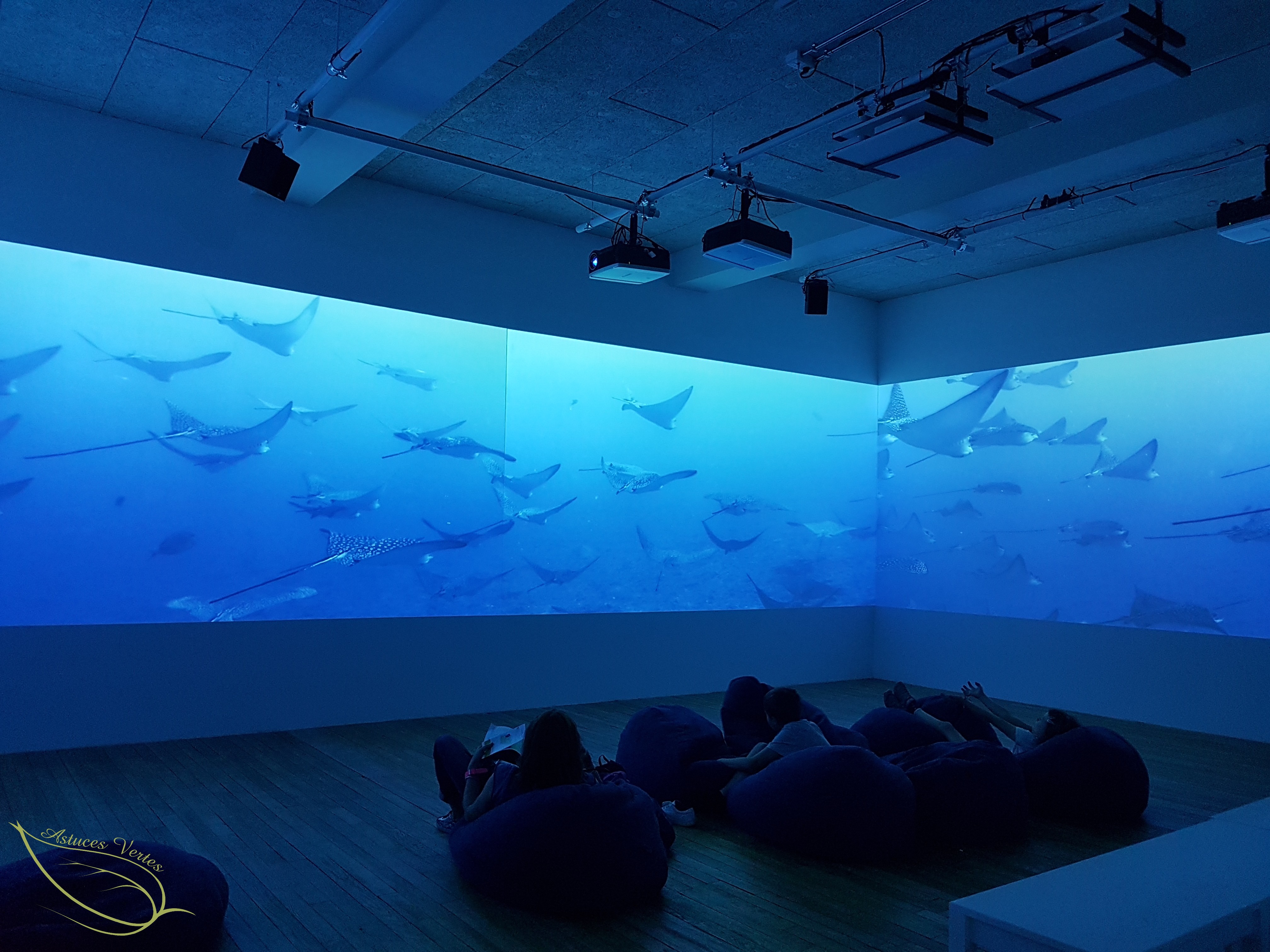 La Fondation Good Planet : une sortie familiale qui allie nature et culture